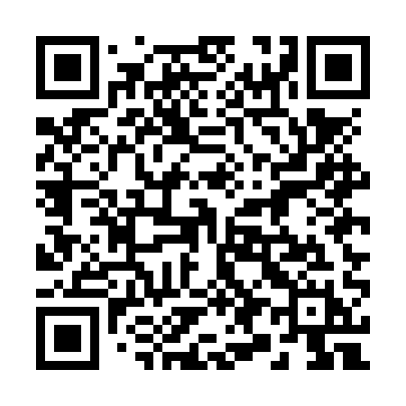 QR code for 295NQH