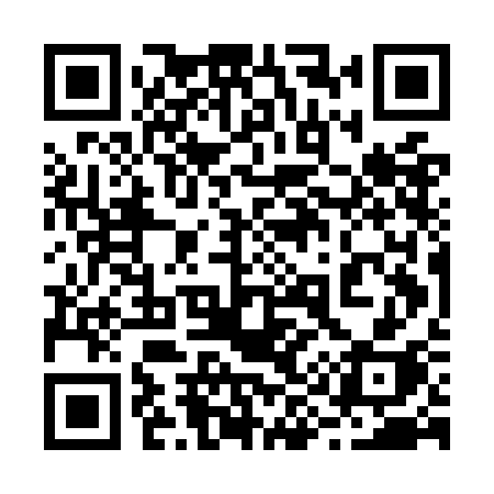 QR code for 295OCH