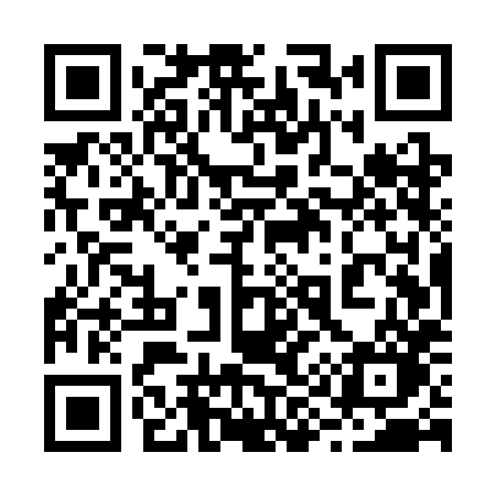 QR code for 295SHO