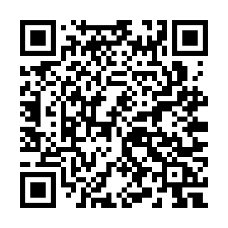 QR code for 295SNC