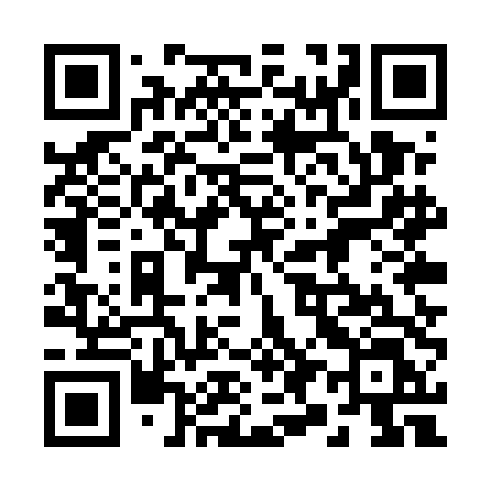 QR code for 295UDL