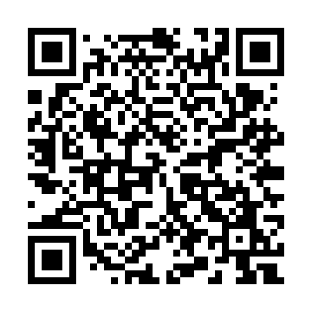QR code for 295VGO