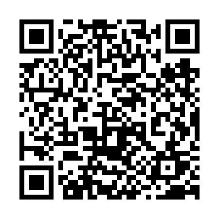 QR code for 295VST