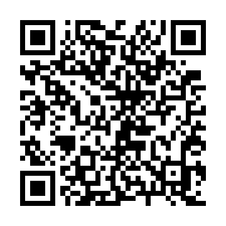 QR code for 295WDK