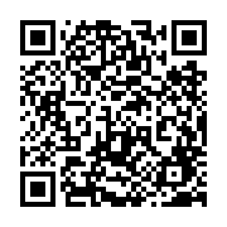 QR code for 295WMF