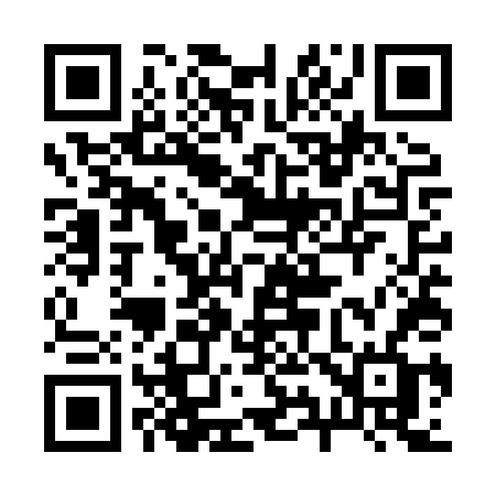 QR code for 295XTF
