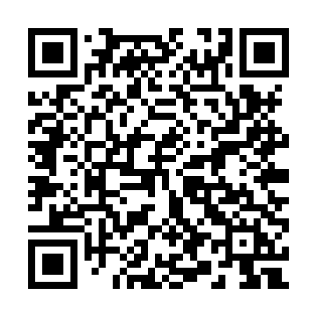 QR code for 295XTH