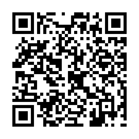 QR code for 295YTM