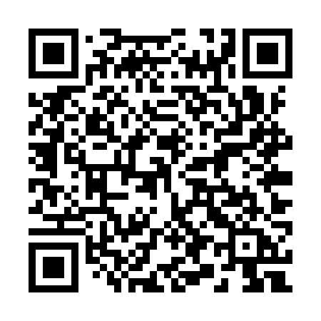 QR code for 295YZA