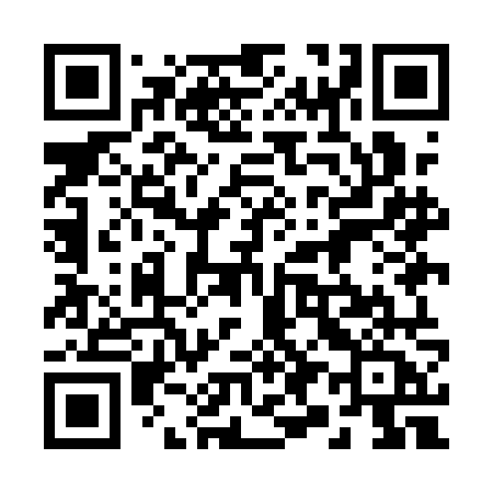 QR code for 299ANA