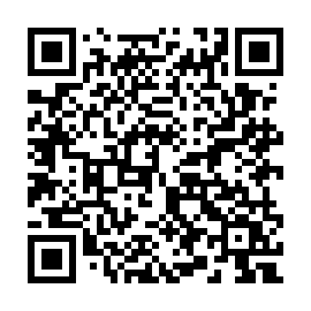 QR code for 299EMV