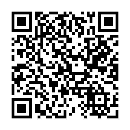 QR code for 299IEE