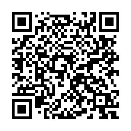 QR code for 299MSR