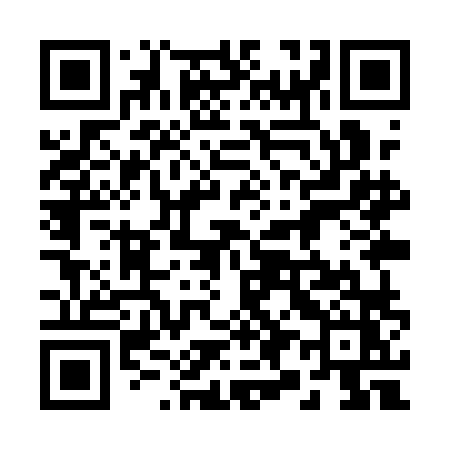 QR code for 299QLZ