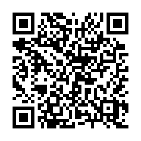 QR code for 299STX