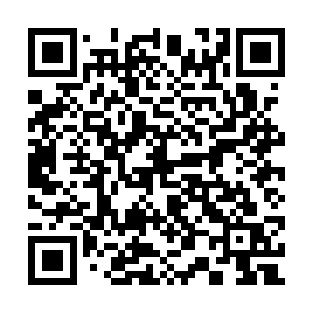 QR code for 300ASS