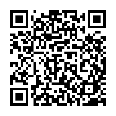 QR code for 300IIC