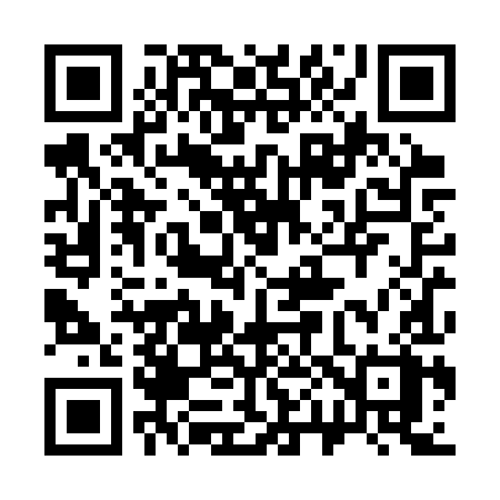 QR code for 300SYX