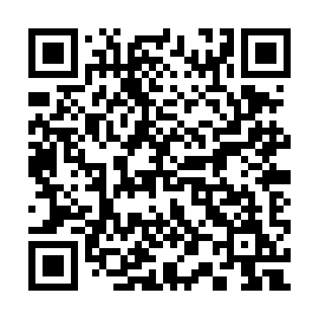 QR code for 300TIM