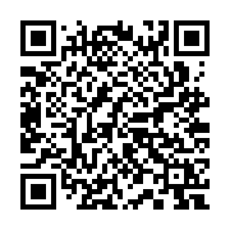 QR code for 302SGX