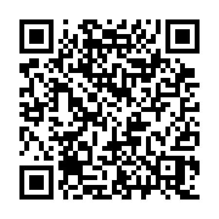 QR code for 303CAR
