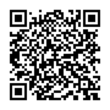 QR code for 309MSD