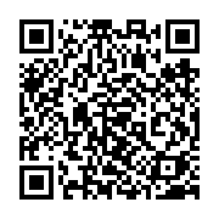 QR code for 311FSI