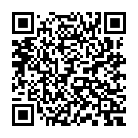 QR code for 311INC
