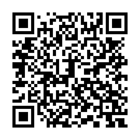 QR code for 311NTW