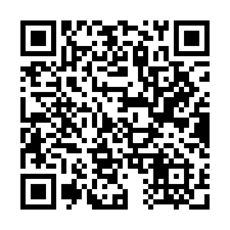 QR code for 311QAI