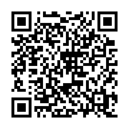 QR code for 311SRL