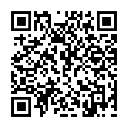 QR code for 311WTO