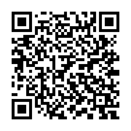 QR code for 311ZLQ