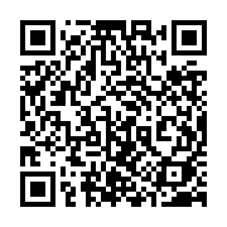 QR code for 311ZUI