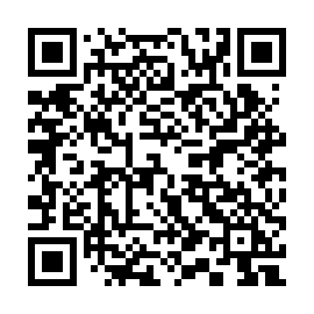 QR code for 313BTI