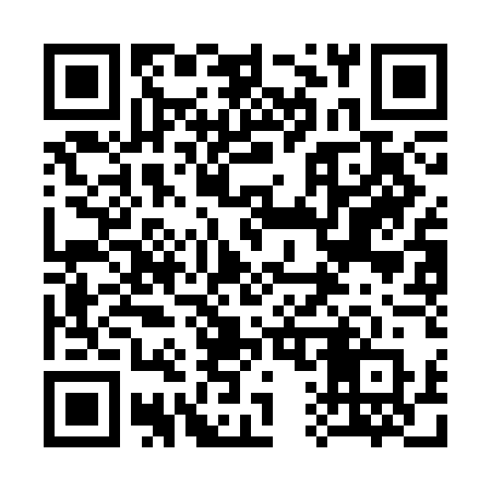 QR code for 313CER