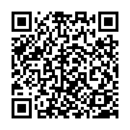 QR code for 313CSP