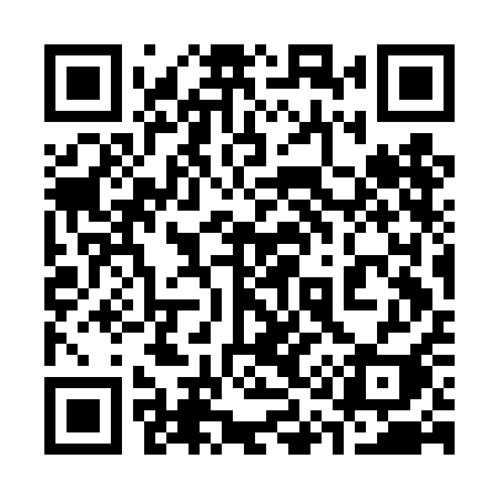 QR code for 313DAI