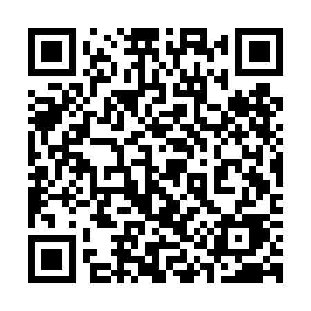 QR code for 313DCE