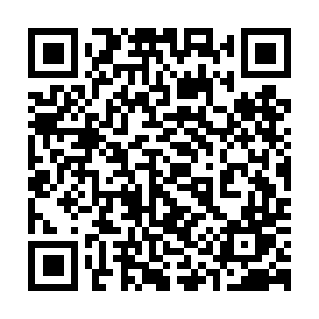 QR code for 313DDT