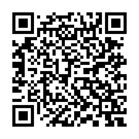 QR code for 313DOW