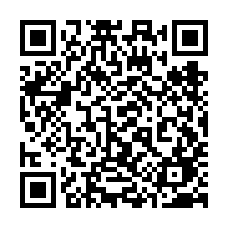 QR code for 313FID