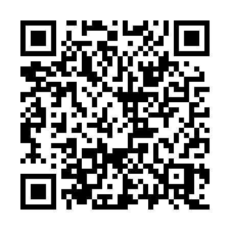 QR code for 313LPR