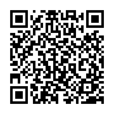 QR code for 313LTP