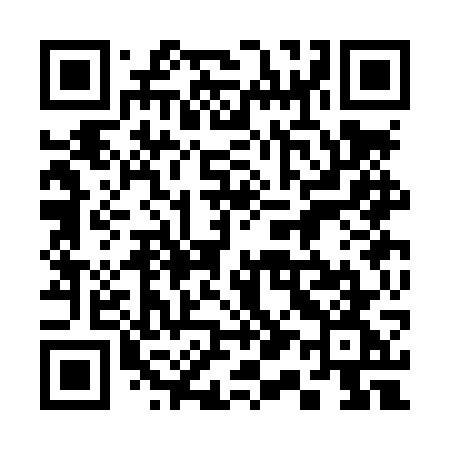 QR code for 313LWG