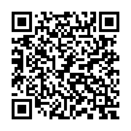 QR code for 313MEJ
