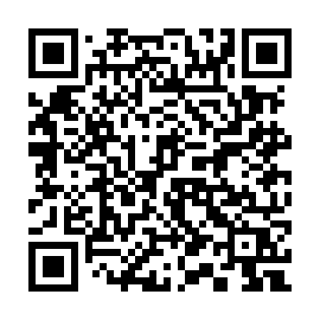 QR code for 313MNP