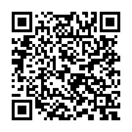 QR code for 313MWQ