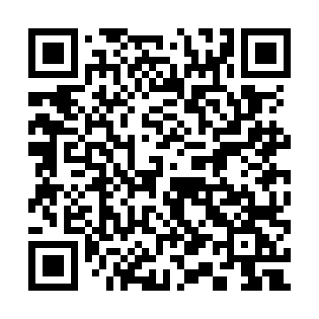 QR code for 313OLG