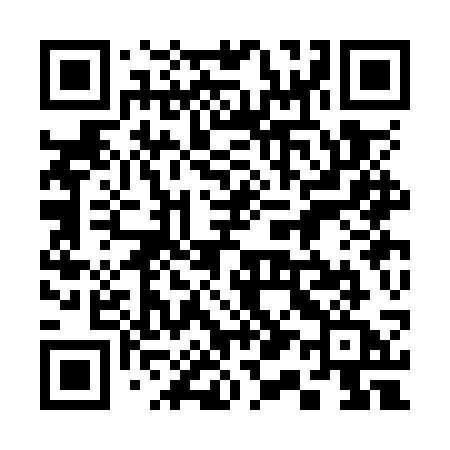 QR code for 313OSA